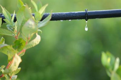Prepare Your Irrigation System for the Cold Months!