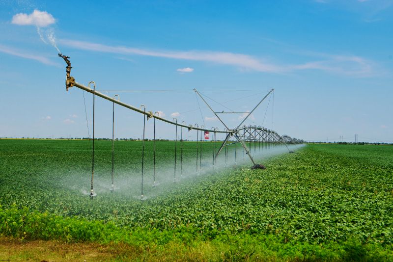 Commercial Irrigation Service in Honolulu, HI