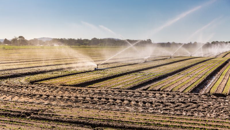 Farm Irrigation Installation in Honolulu, HI