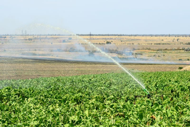 Irrigation Service in Ventura County, CA