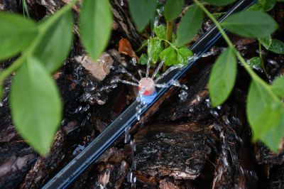 Prevent Freezing Pipes and Sprinkler Heads, Which Could be a Costly Mistake!