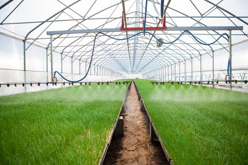 Commercial Irrigation Service in Aiken, SC