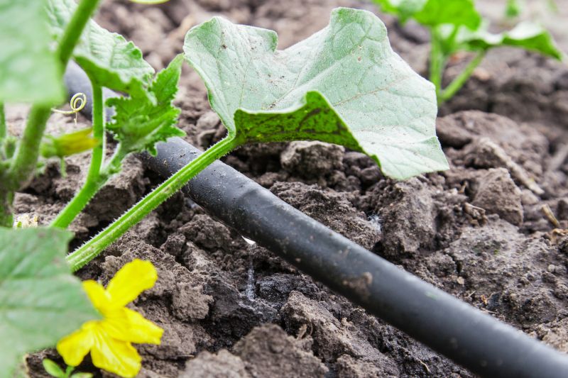 Drip Irrigation Installation in Ventura County, CA