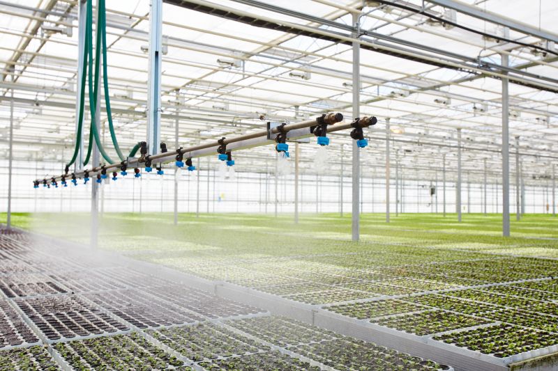 Drip System Installation in Aiken, SC