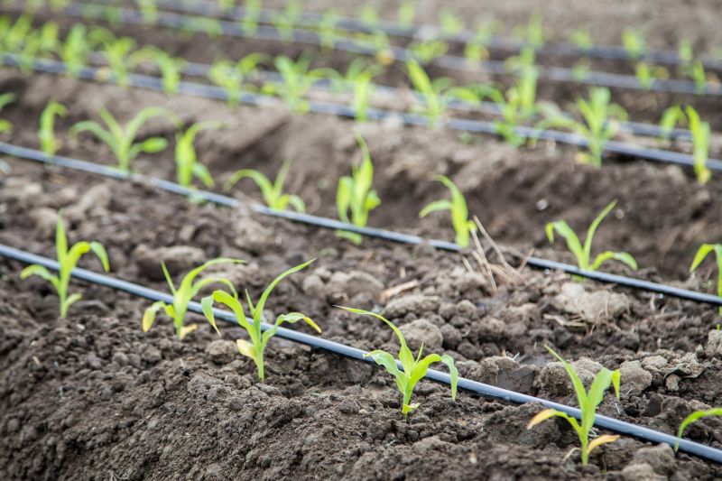 Inground Irrigation Service in Ventura County, CA