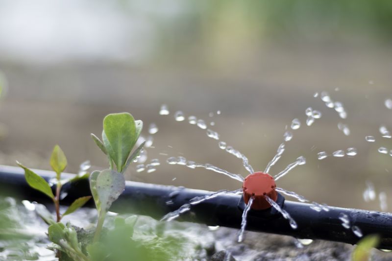 Irrigation Installation in Aiken, SC