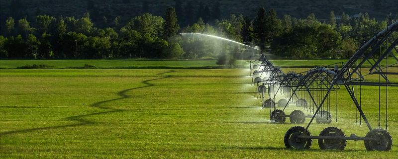 Irrigation Installation in Honolulu, HI