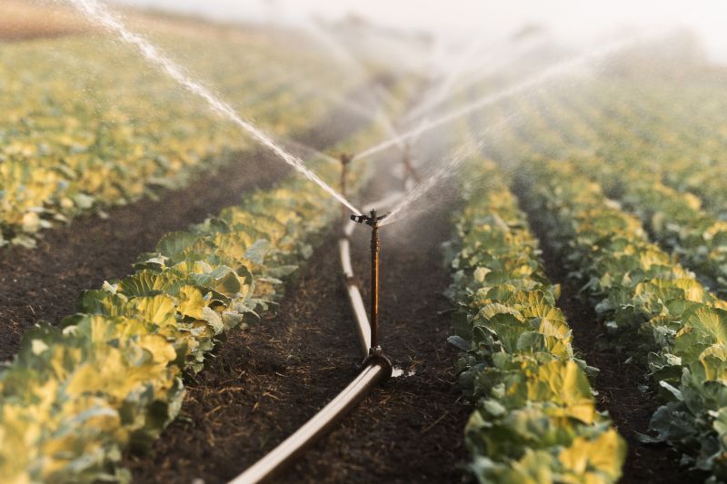 Plant Irrigation Installation in Ventura County, CA