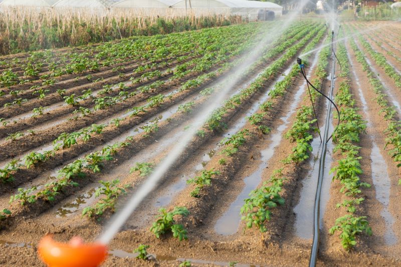 Plant Irrigation Installation in Ventura County, CA