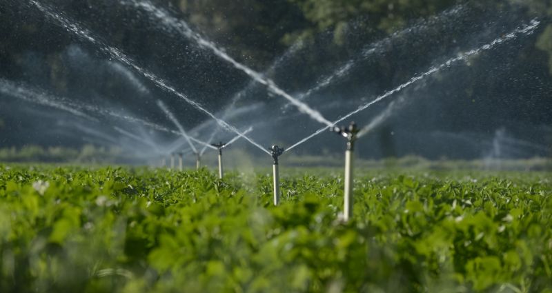 Plant Irrigation Installation in Ventura County, CA