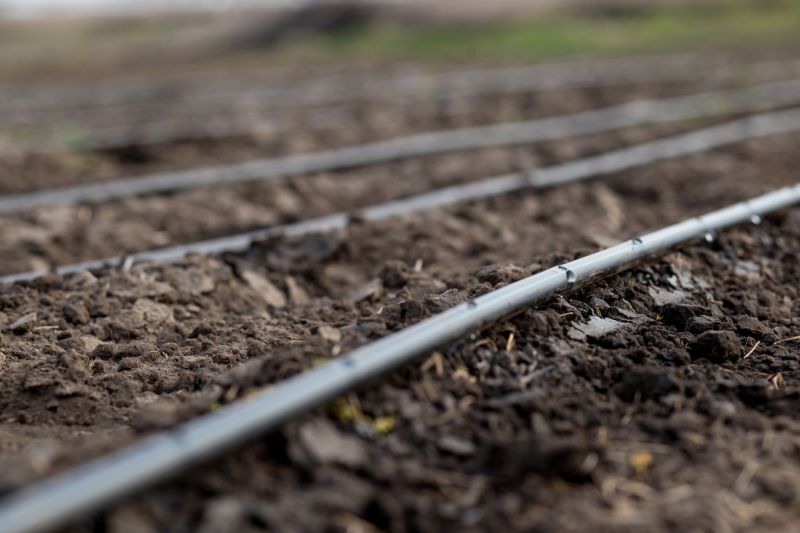 Plant Irrigation Installation in Honolulu, HI