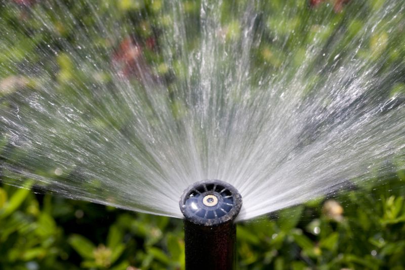 Sprinkler Blowout Service in Reno, NV