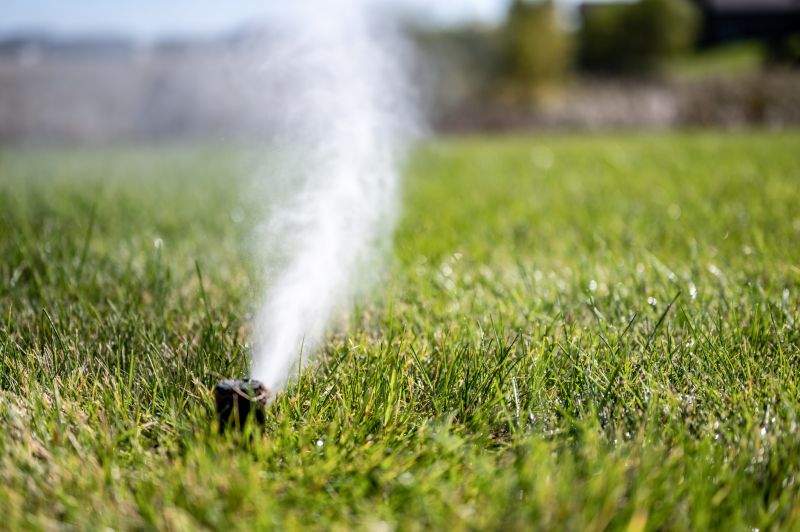 Sprinkler Blowout Service in Honolulu, HI