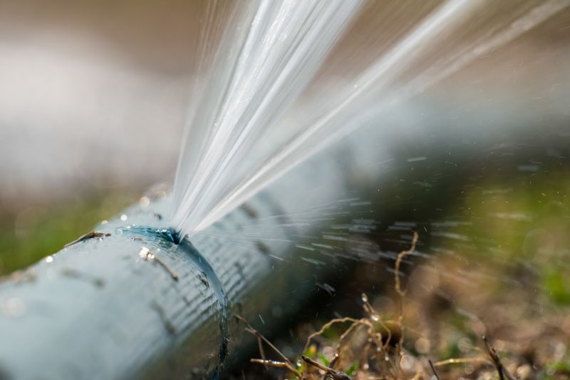 Sprinkler Line Repair in Honolulu, HI