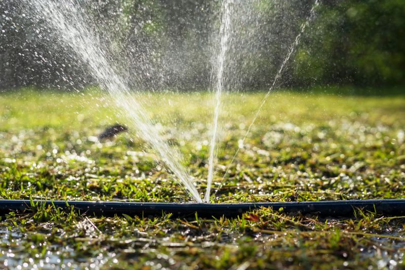 Watering System Installation in Honolulu, HI