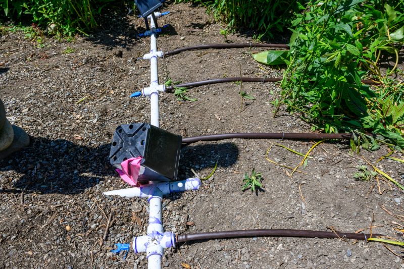 Yard Irrigation Installation in Honolulu, HI